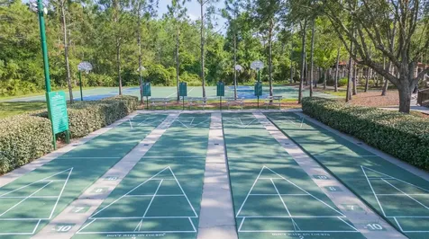31154 Flannery Court Wesley Chapel FL 33543