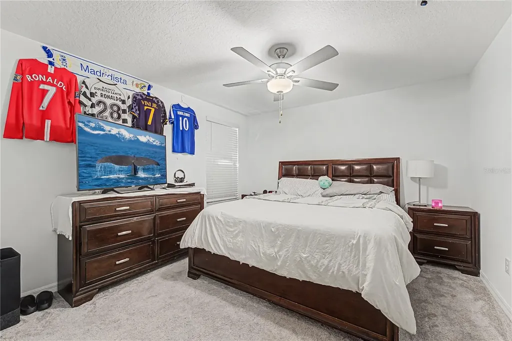 35202 Ackley Trace Zephyrhills FL 33541