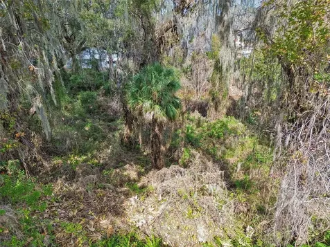 6543 Trail Ridge Drive Lakeland FL 33813