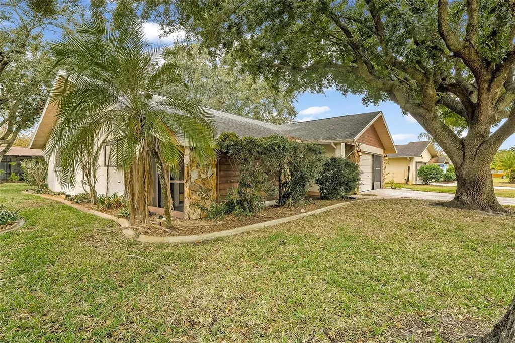 8626 Woodbridge Drive New Port Richey FL 34655