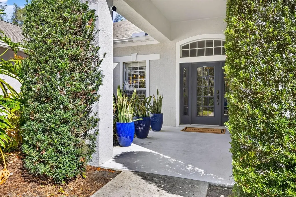 15036 Eaglerise Drive Lithia FL 33547