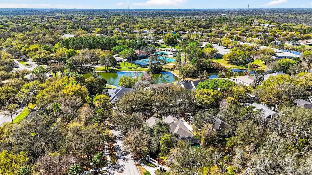 15036 Eaglerise Drive Lithia FL 33547