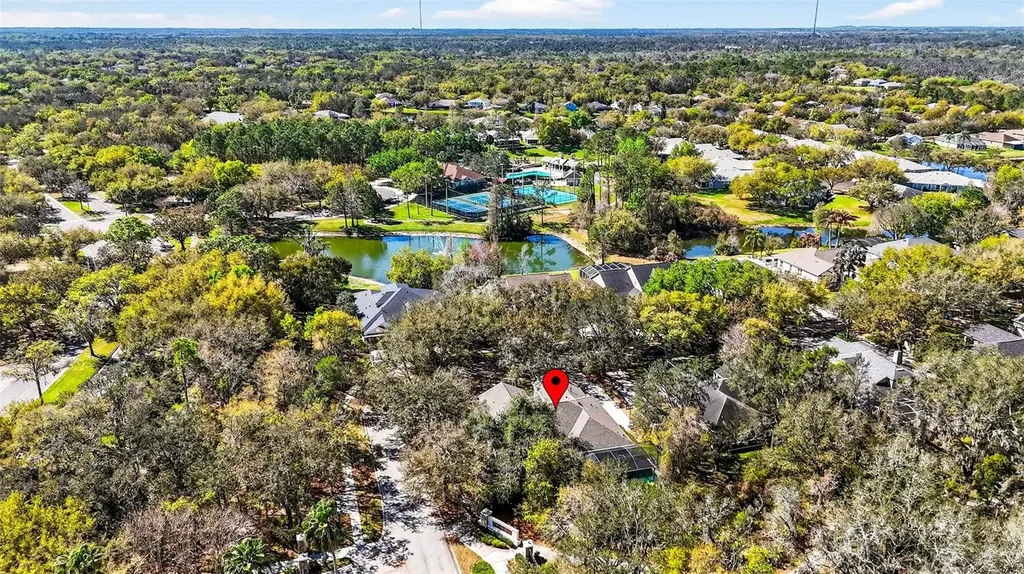 15036 Eaglerise Drive Lithia FL 33547
