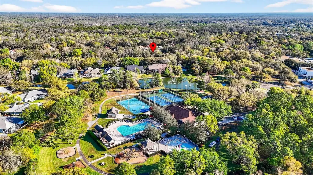 15036 Eaglerise Drive Lithia FL 33547