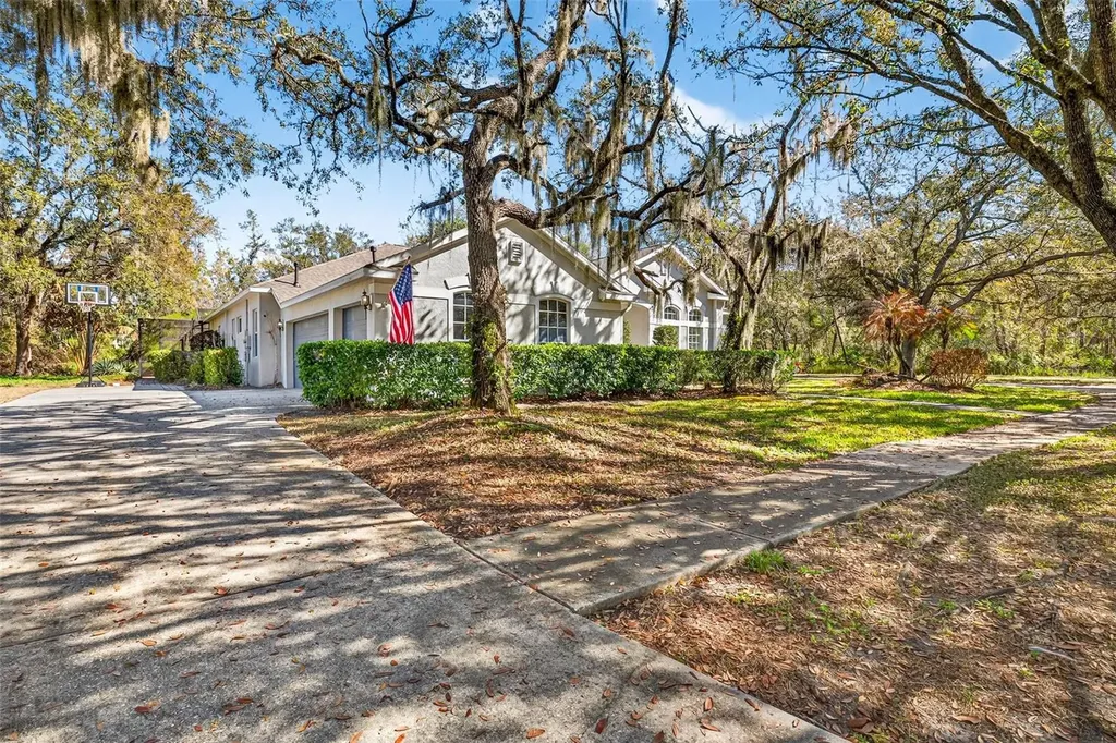 15036 Eaglerise Drive Lithia FL 33547