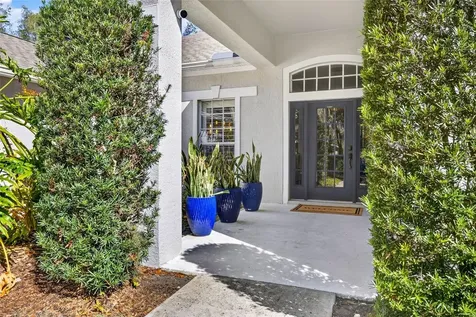 15036 Eaglerise Drive Lithia FL 33547