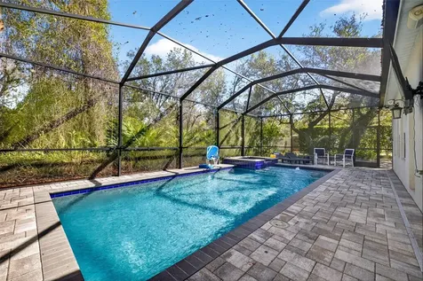 15036 Eaglerise Drive Lithia FL 33547