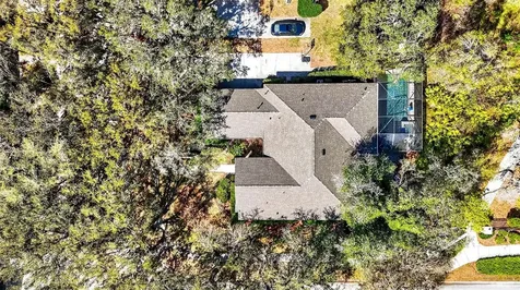 15036 Eaglerise Drive Lithia FL 33547