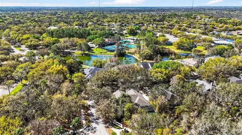 15036 Eaglerise Drive Lithia FL 33547