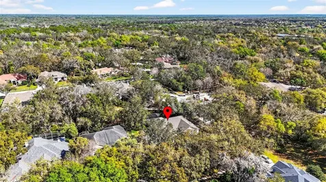 15036 Eaglerise Drive Lithia FL 33547
