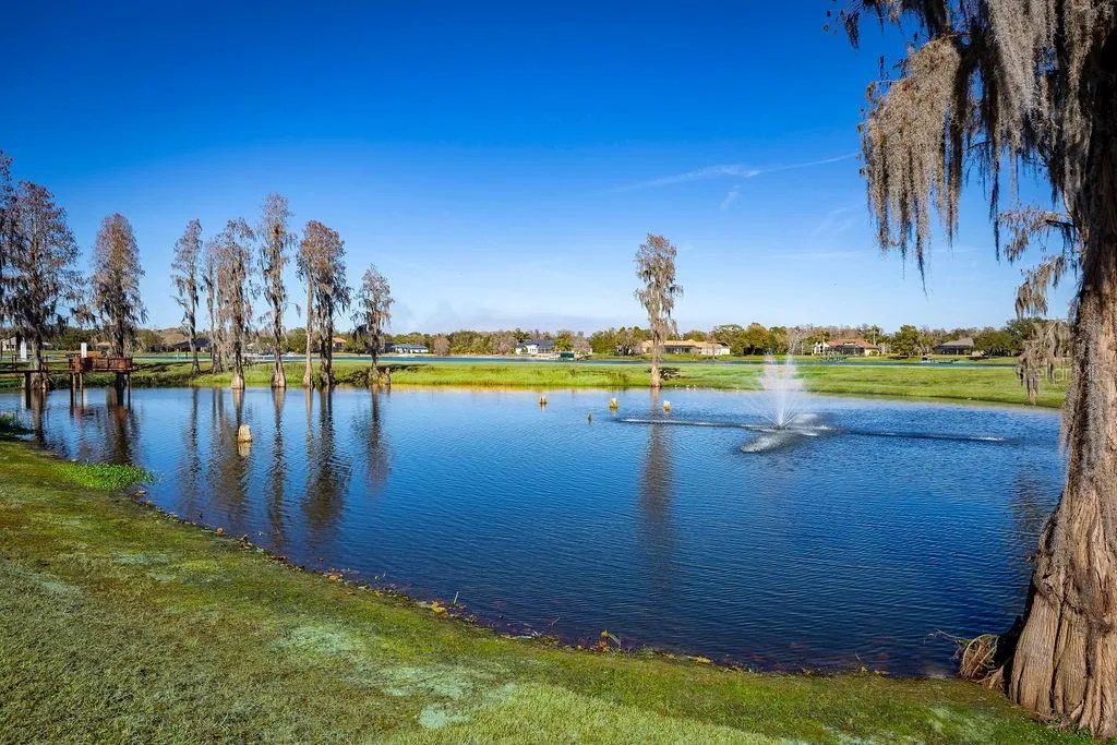 17933 Patterson Road Odessa FL 33556
