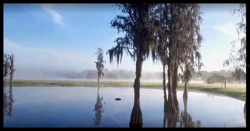 17933 Patterson Road Odessa FL 33556