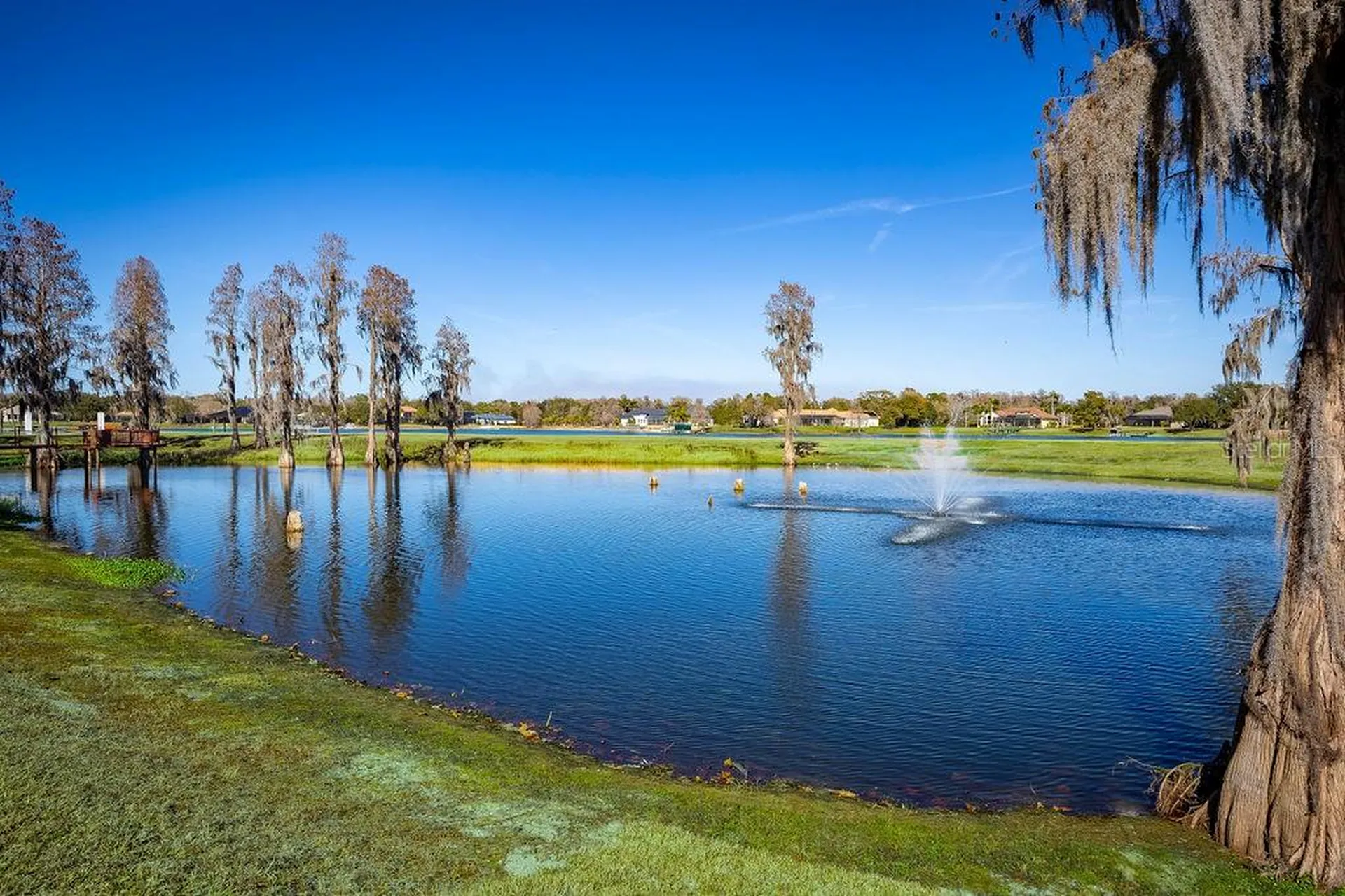 17933 Patterson Road Odessa FL 33556