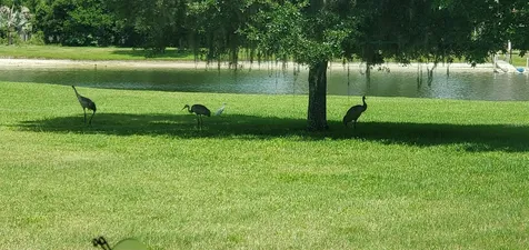 17933 Patterson Road Odessa FL 33556
