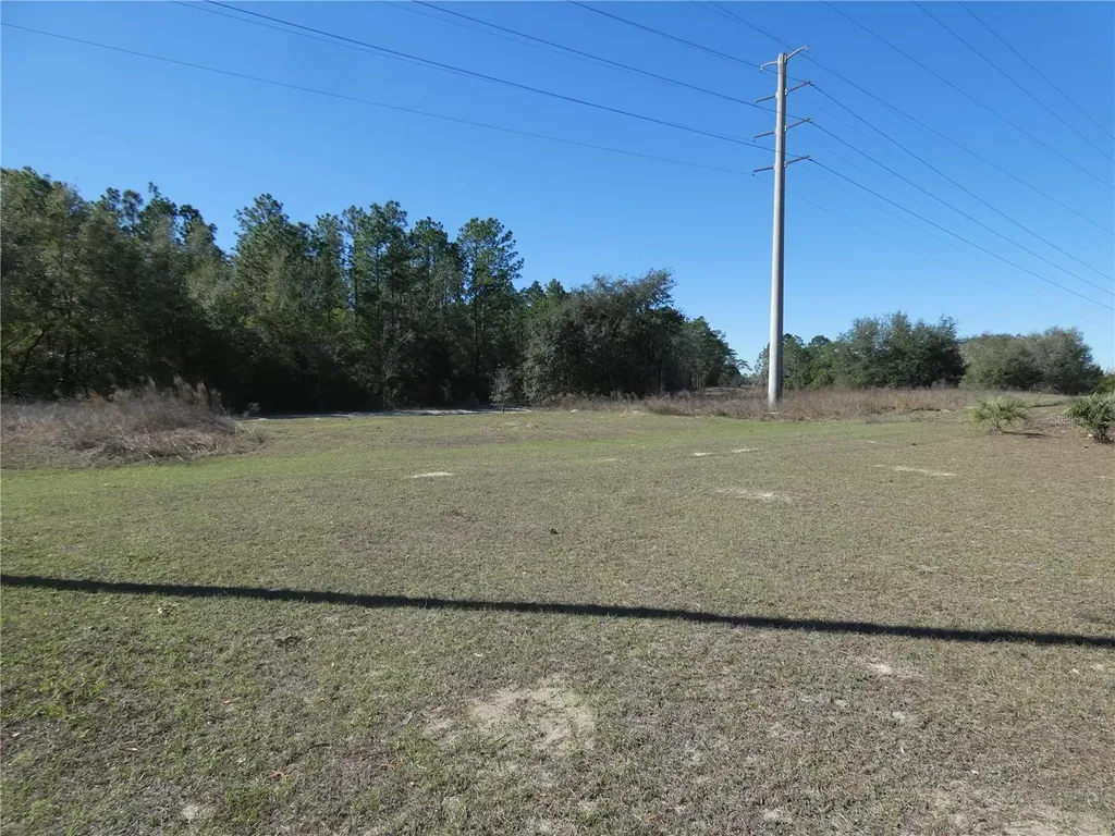 1762 W Alhambra Drive Citrus Springs FL 34434