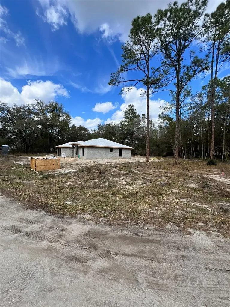 3 Guava Pass Run Ocklawaha FL 32179