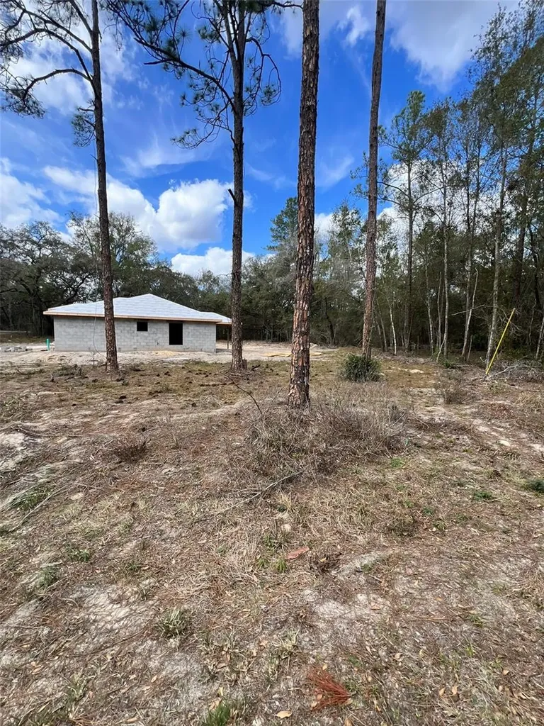 3 Guava Pass Run Ocklawaha FL 32179