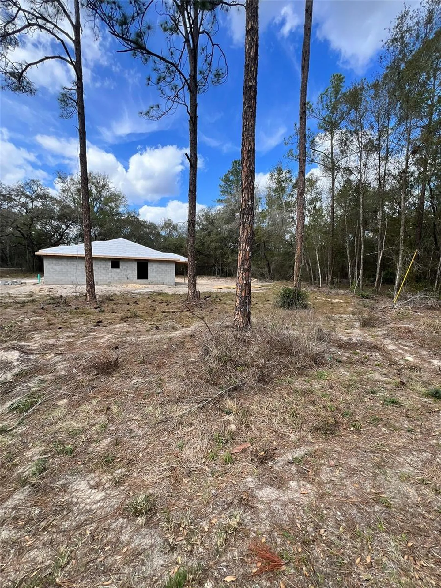 3 Guava Pass Run Ocklawaha FL 32179