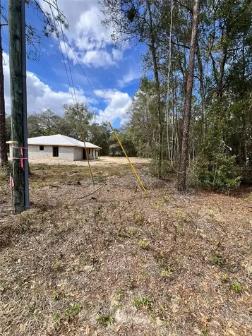 3 Guava Pass Run Ocklawaha FL 32179