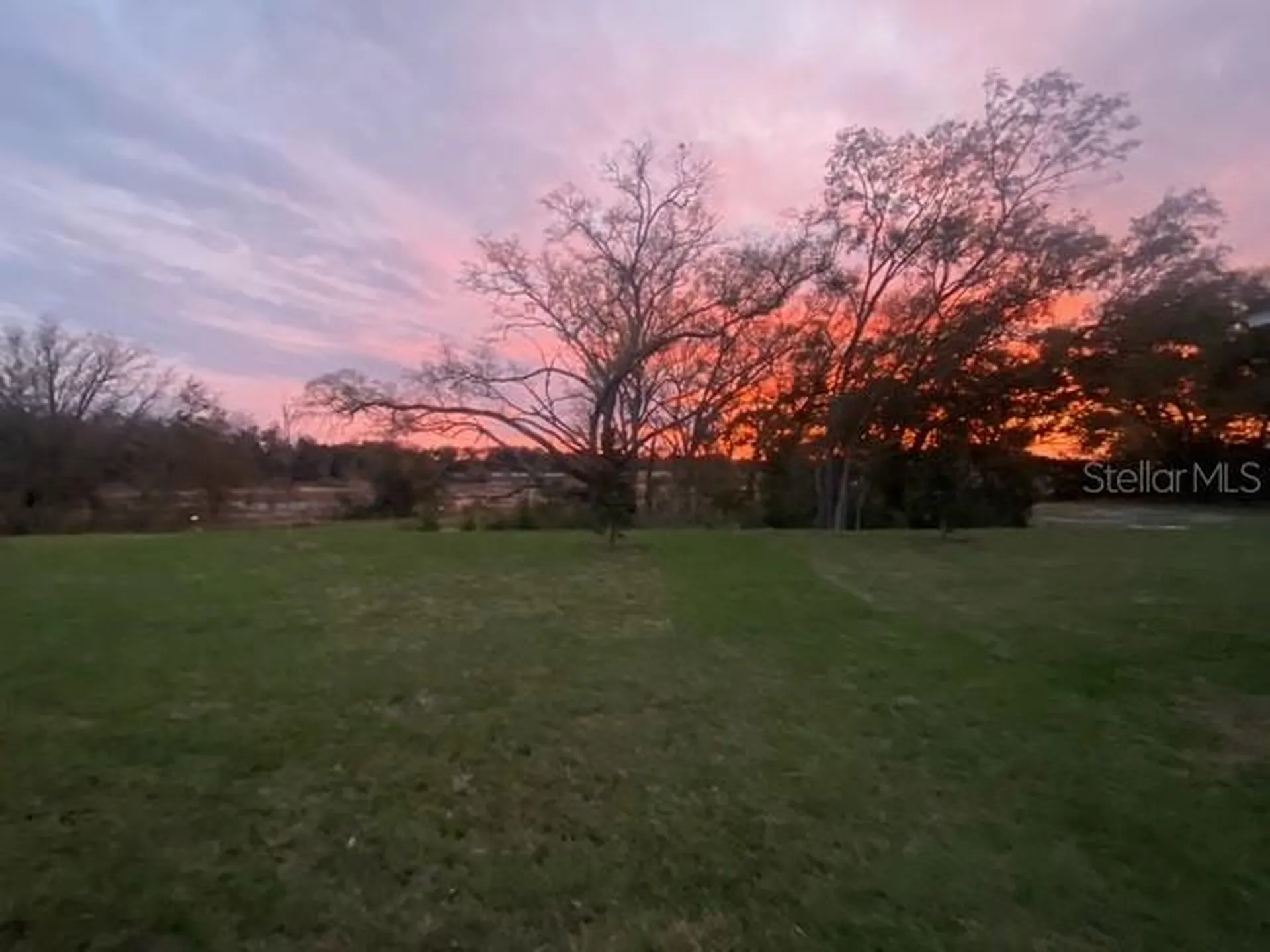 Apopka FL 32703