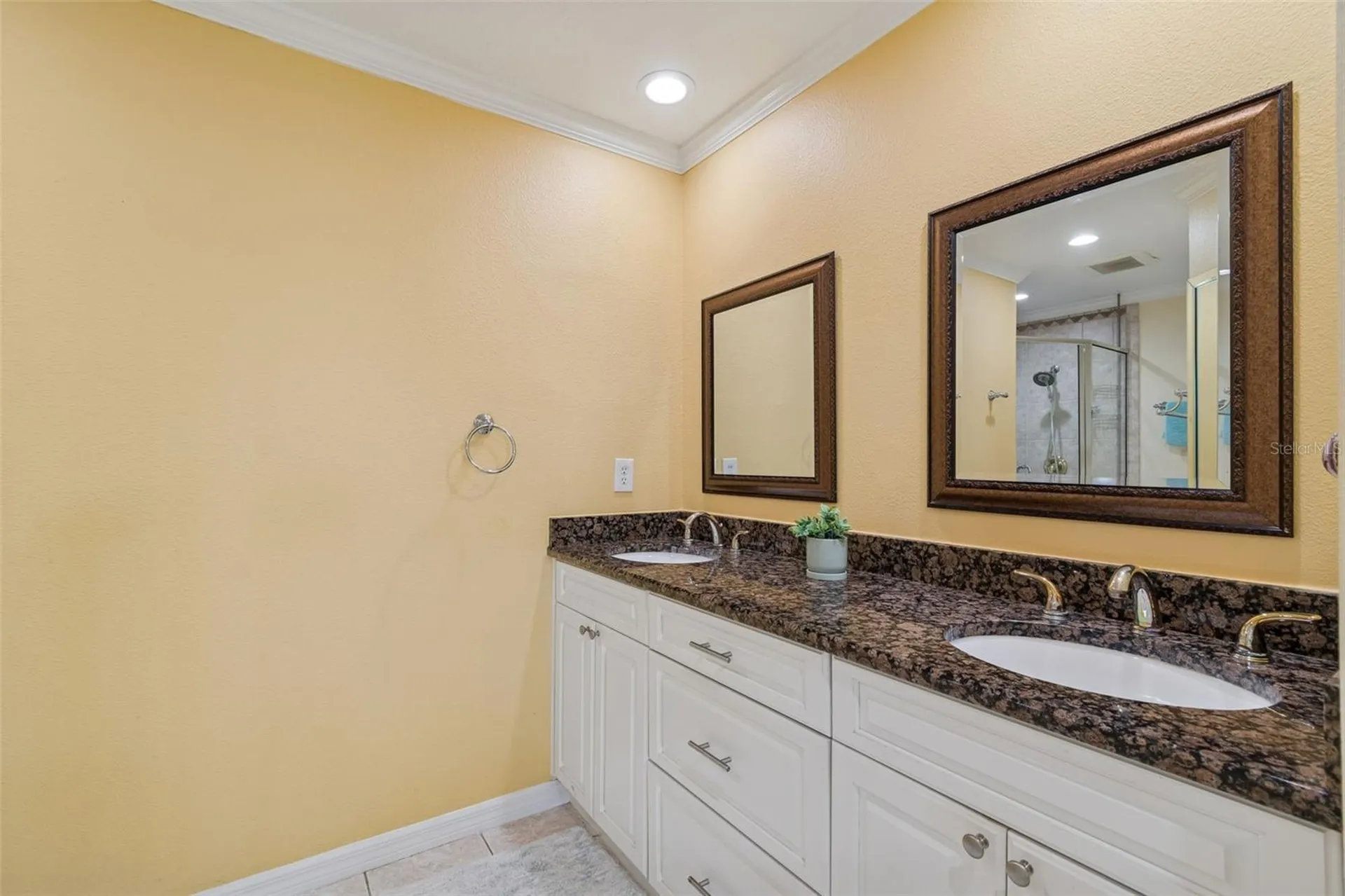 6170 Seaside Drive New Port Richey FL 34652