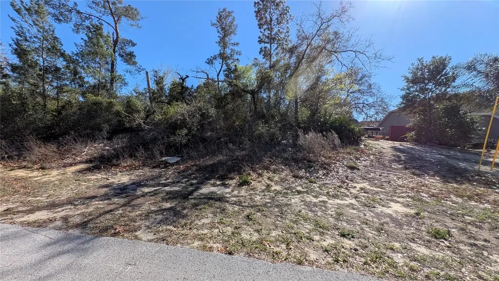 13014 Hanley Drive Spring Hill FL 34609