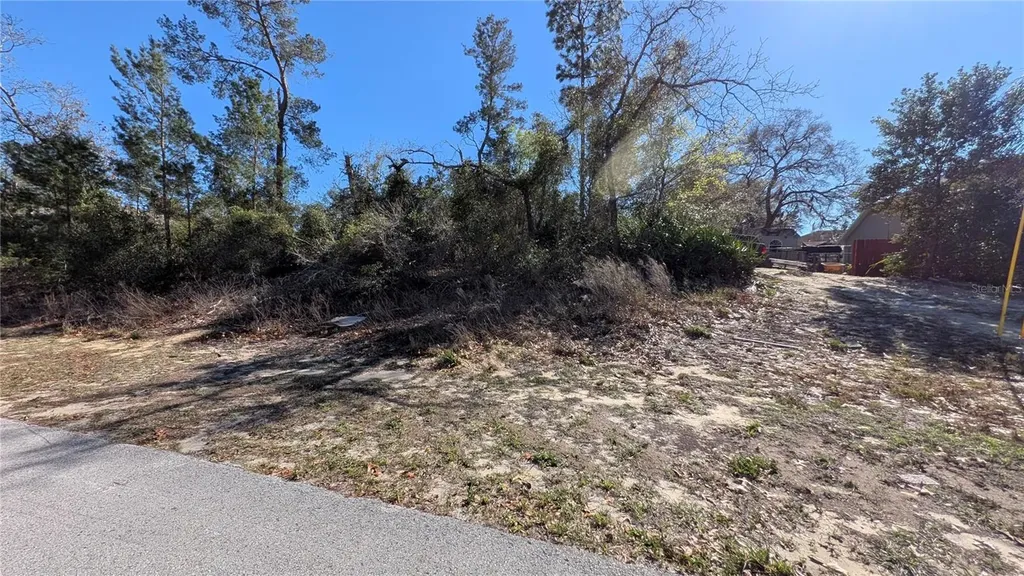 13014 Hanley Drive Spring Hill FL 34609