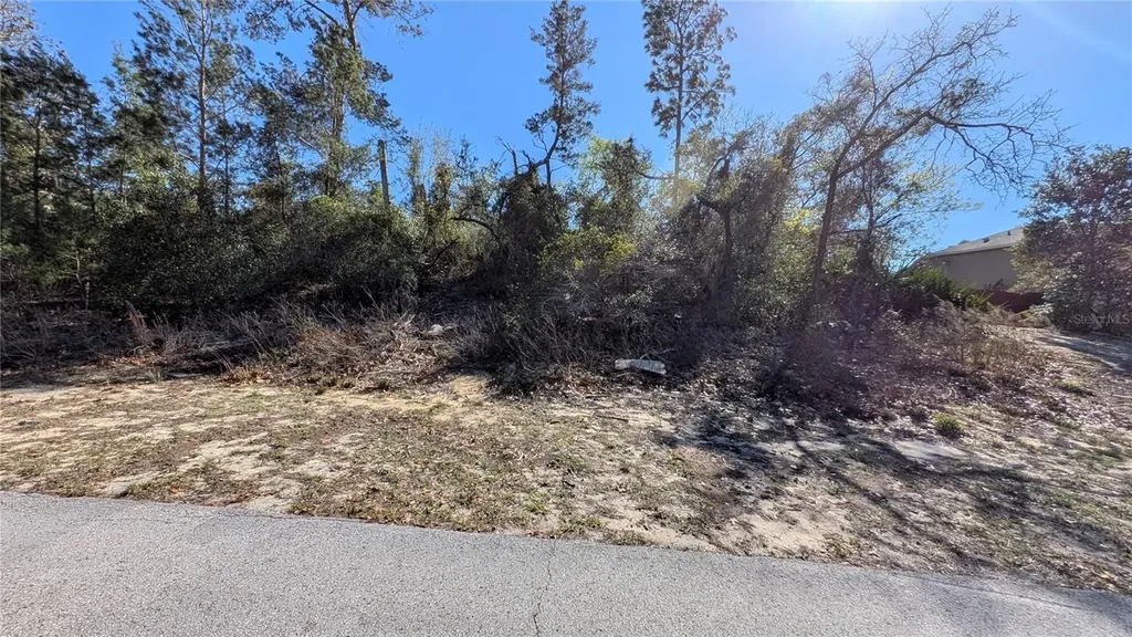 13014 Hanley Drive Spring Hill FL 34609