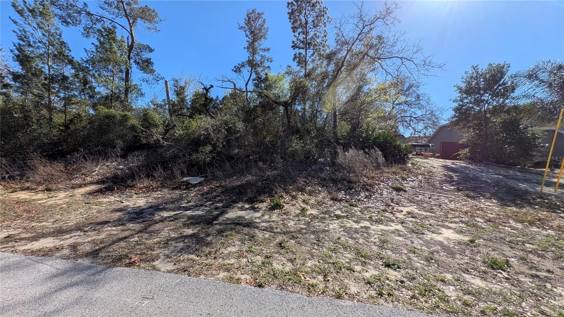 13014 Hanley Drive Spring Hill FL 34609