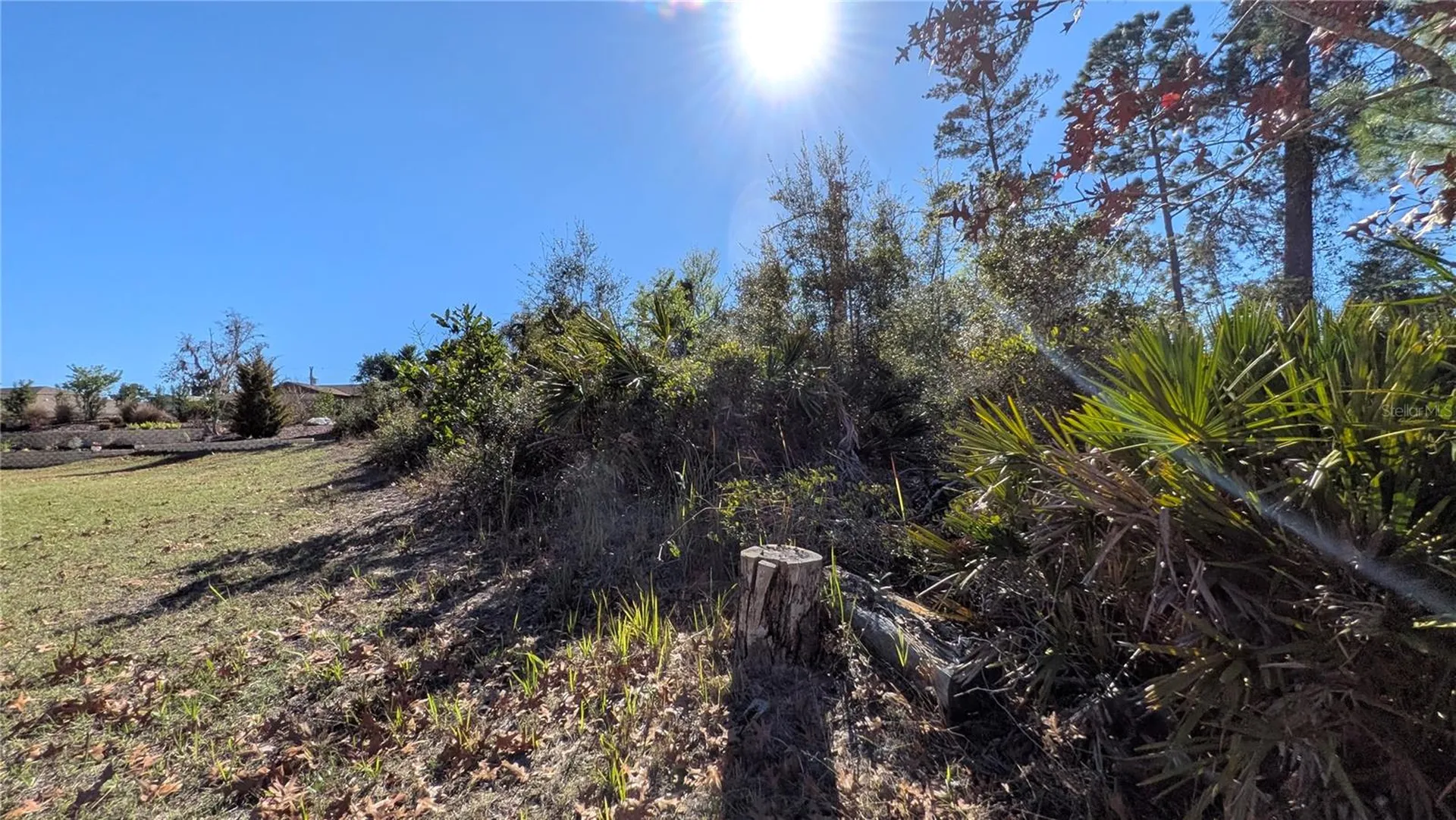 13014 Hanley Drive Spring Hill FL 34609