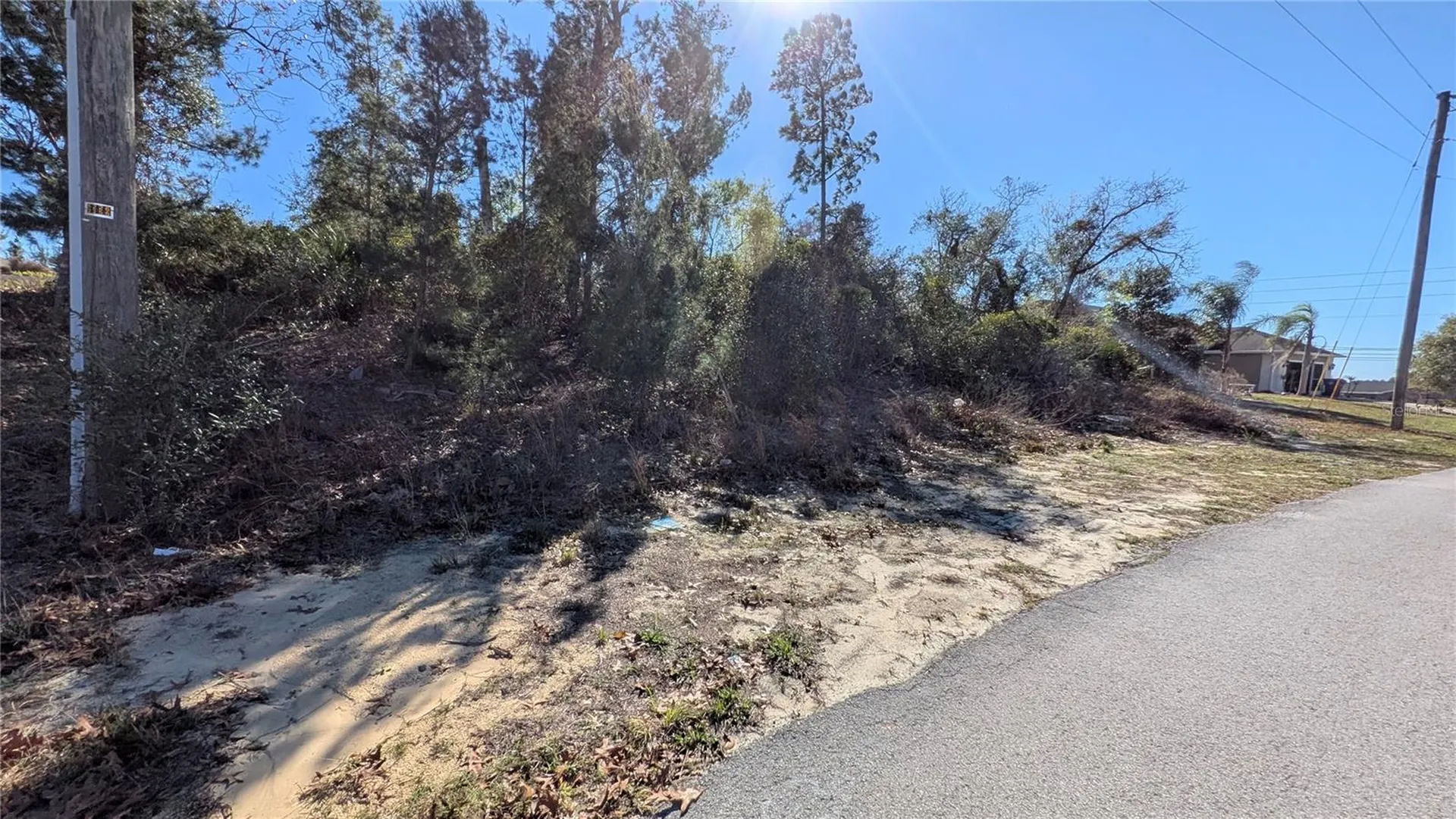 13014 Hanley Drive Spring Hill FL 34609