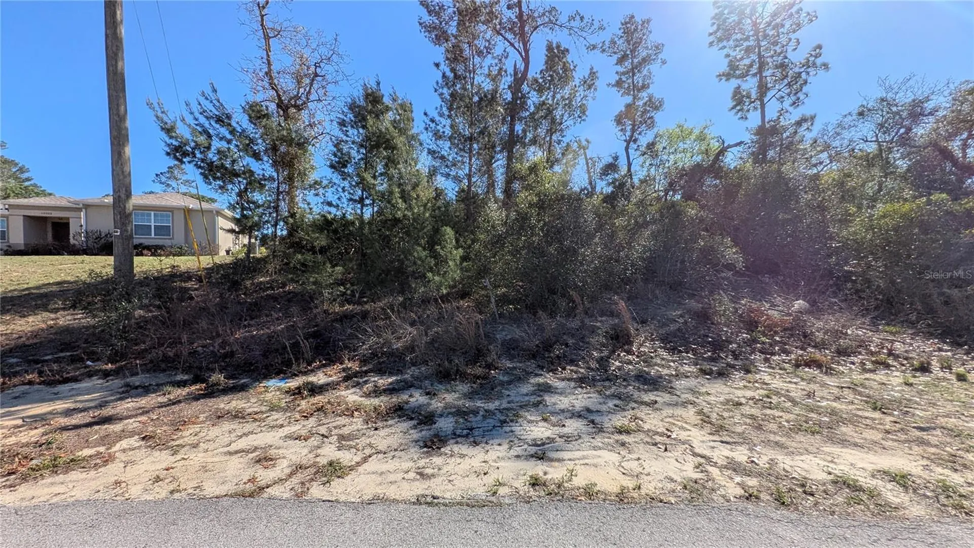13014 Hanley Drive Spring Hill FL 34609