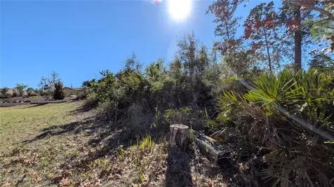 13014 Hanley Drive Spring Hill FL 34609