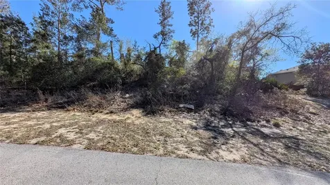 13014 Hanley Drive Spring Hill FL 34609