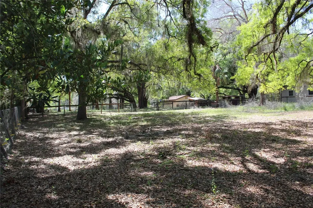 3910 SE 52nd Street Ocala FL 34480