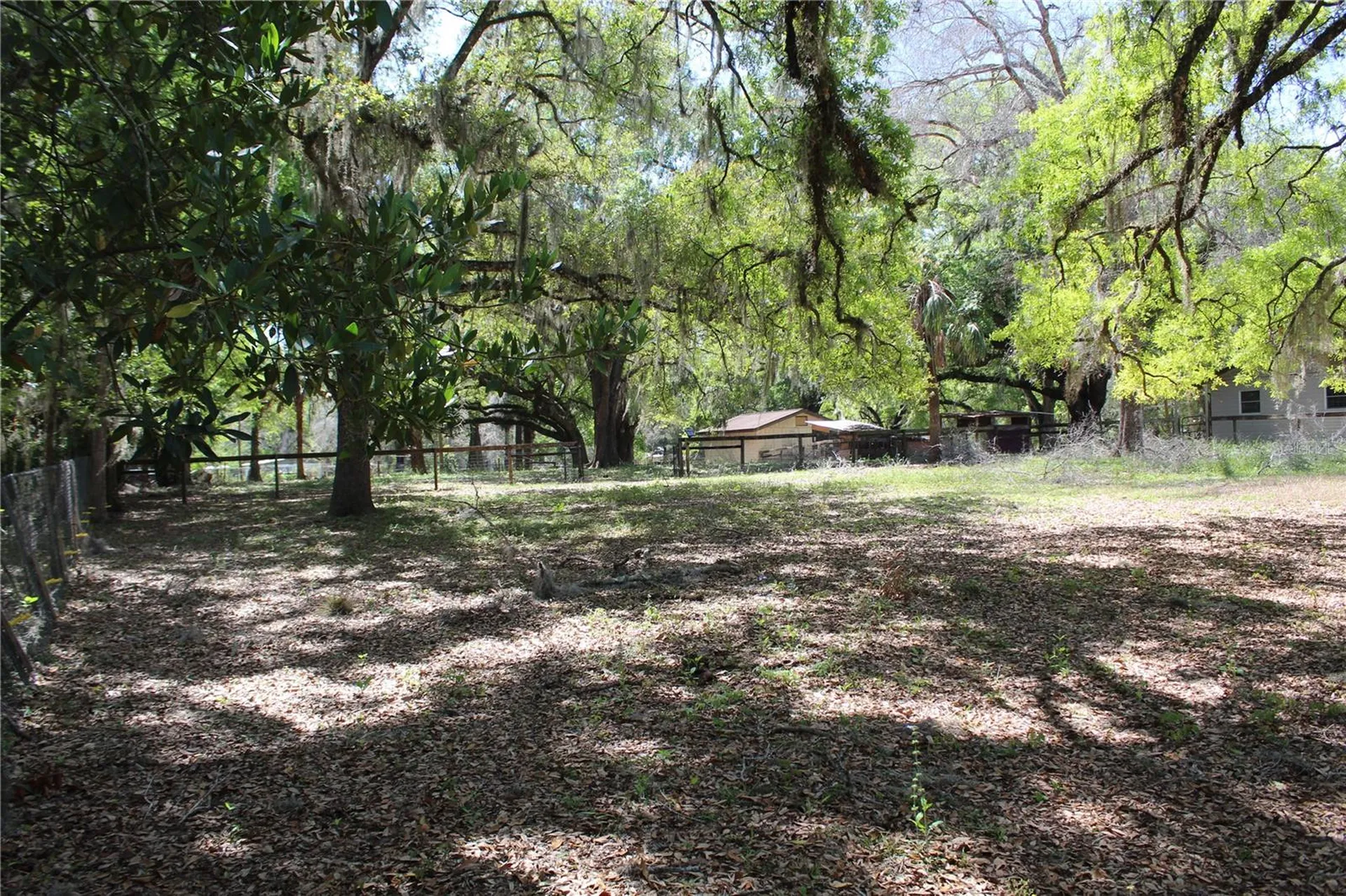 3910 SE 52nd Street Ocala FL 34480