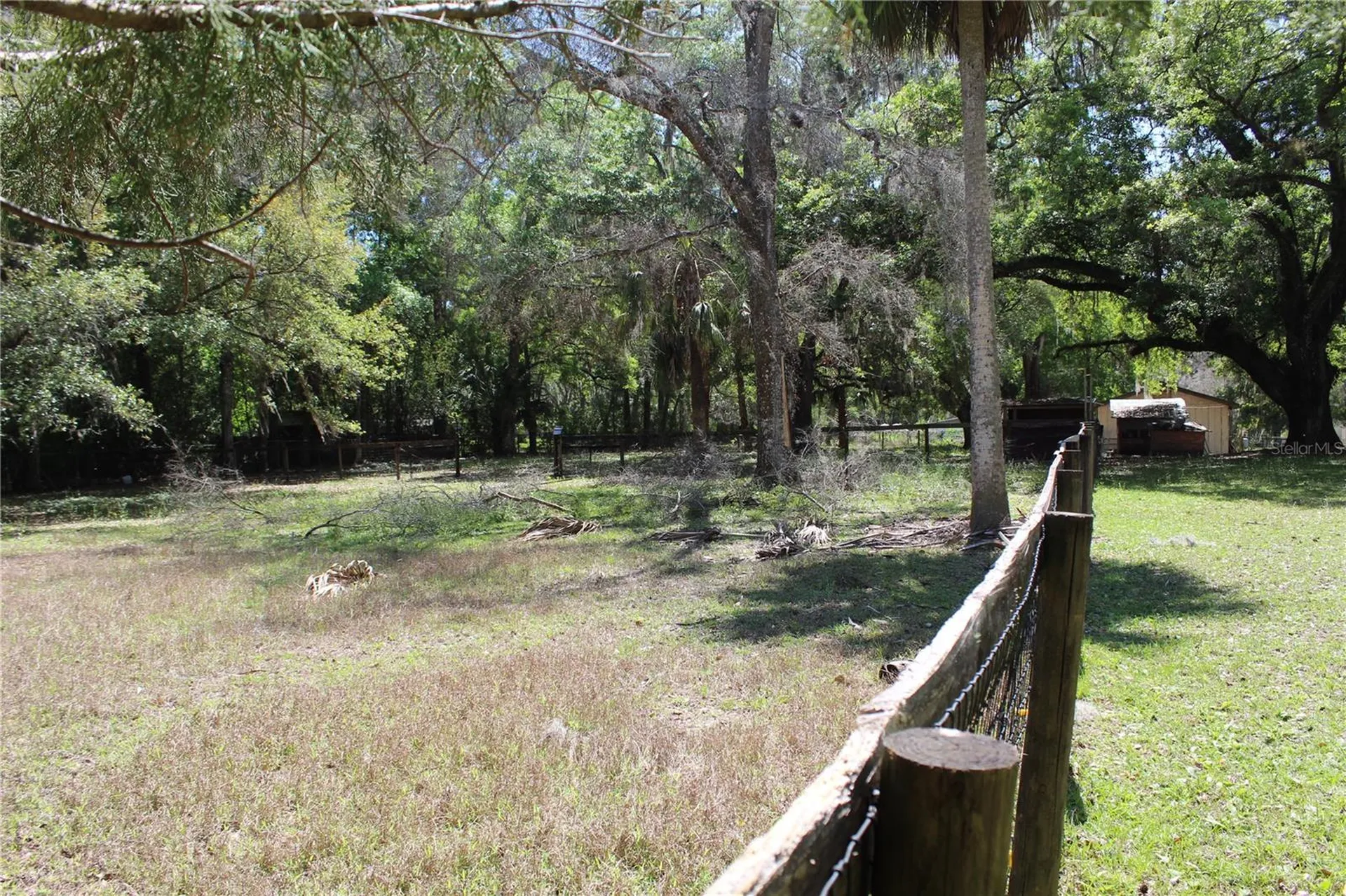 3910 SE 52nd Street Ocala FL 34480