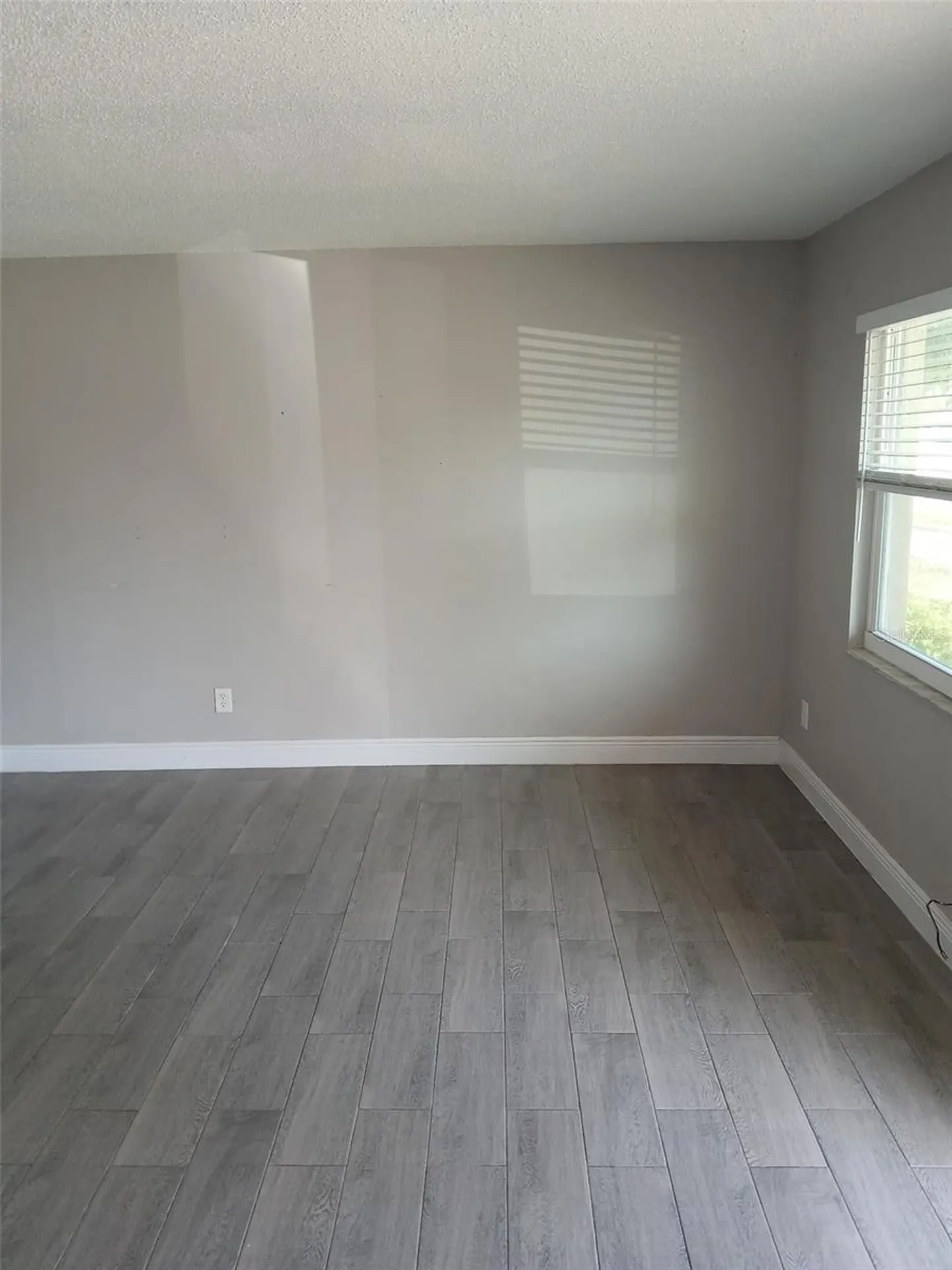 38939 North Avenue Zephyrhills FL 33542