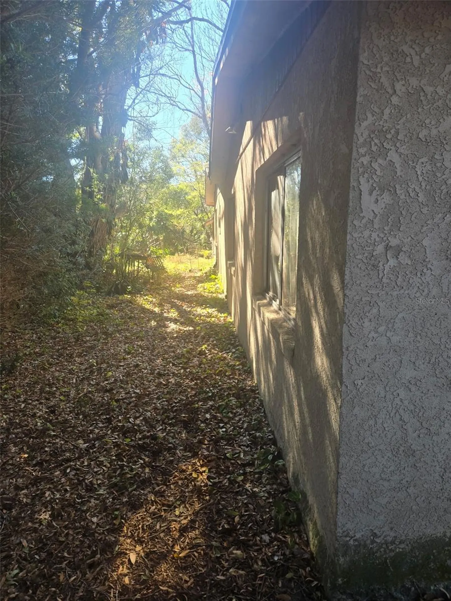 133 Dahlia Court Altamonte Springs FL 32714