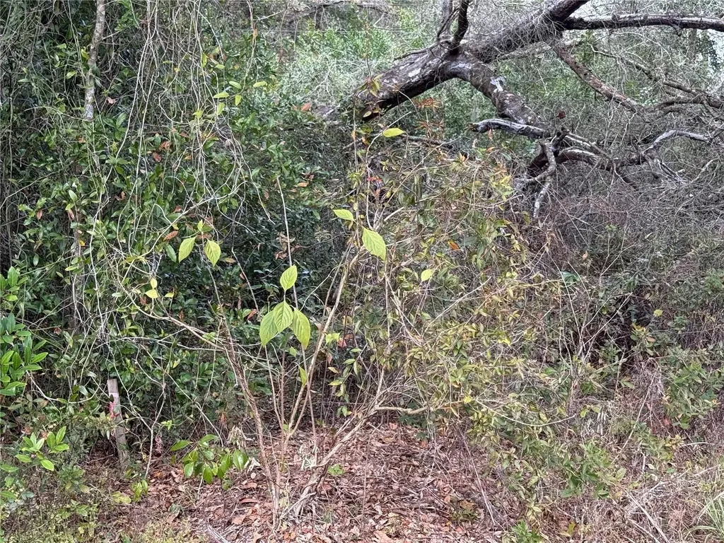 0 Hilda Road Dade City FL 33523