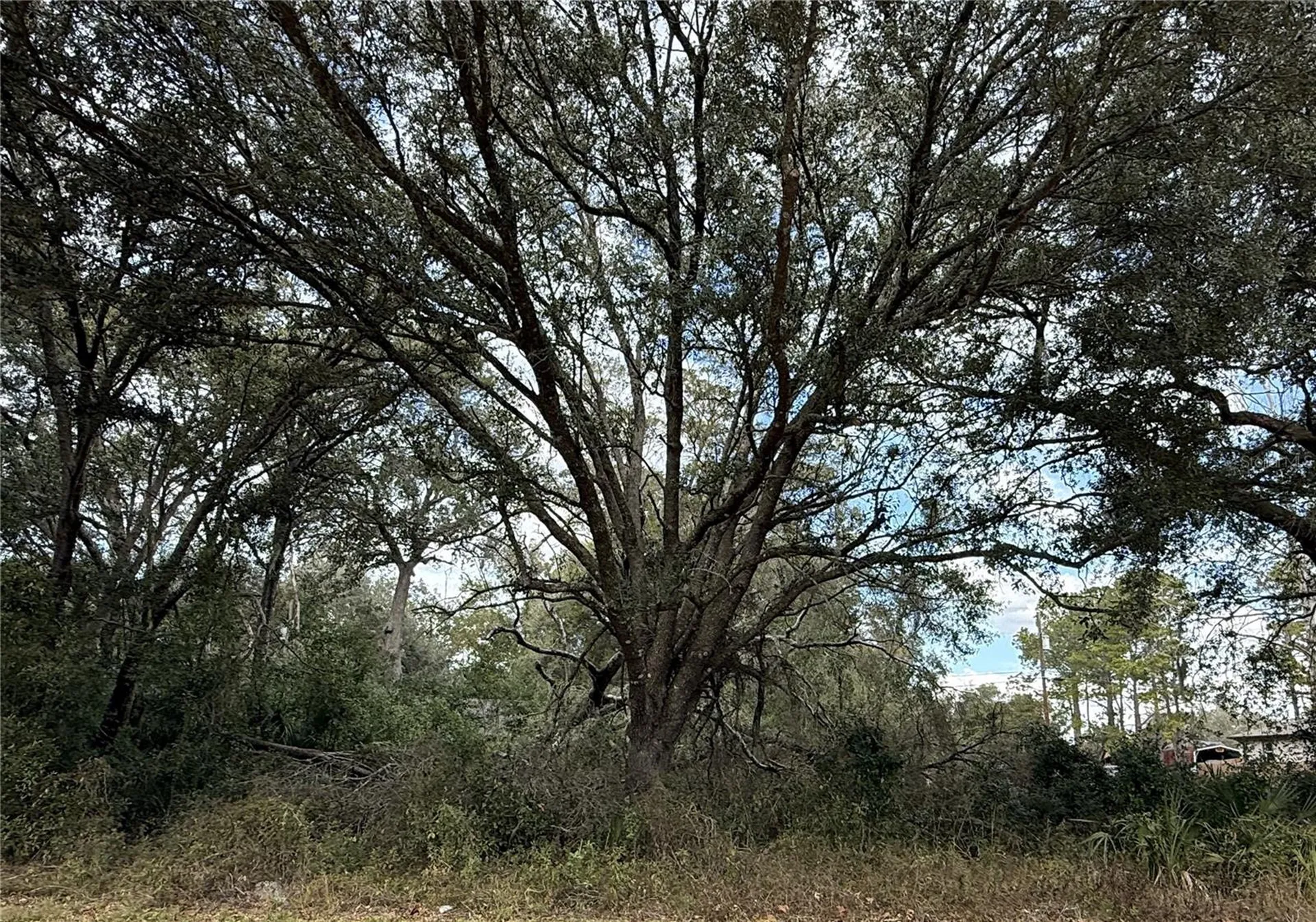 0 Hilda Road Dade City FL 33523