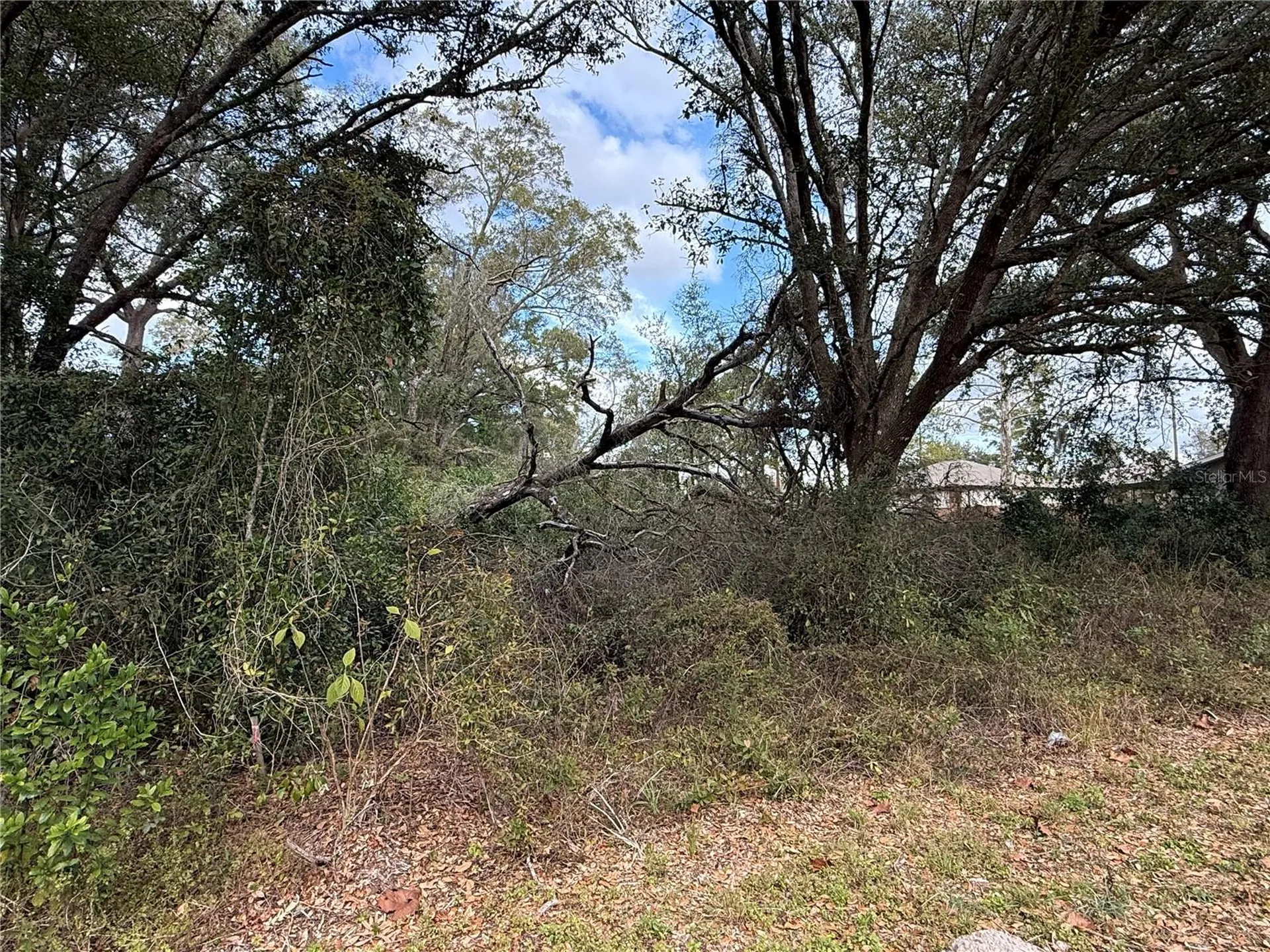0 Hilda Road Dade City FL 33523