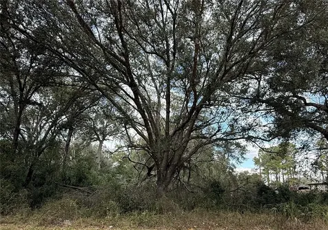 0 Hilda Road Dade City FL 33523