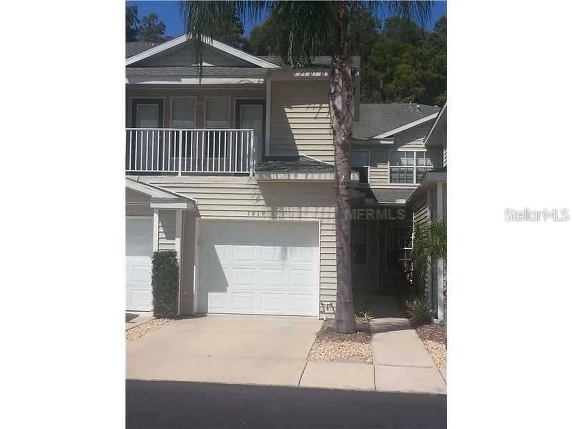 1819 Hammocks Avenue Lutz FL 33549