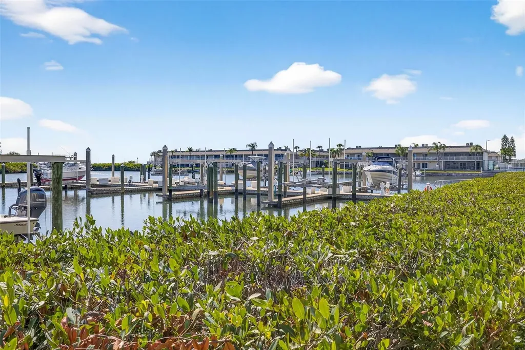 4324 Spinnaker Cove Lane Tampa FL 33615