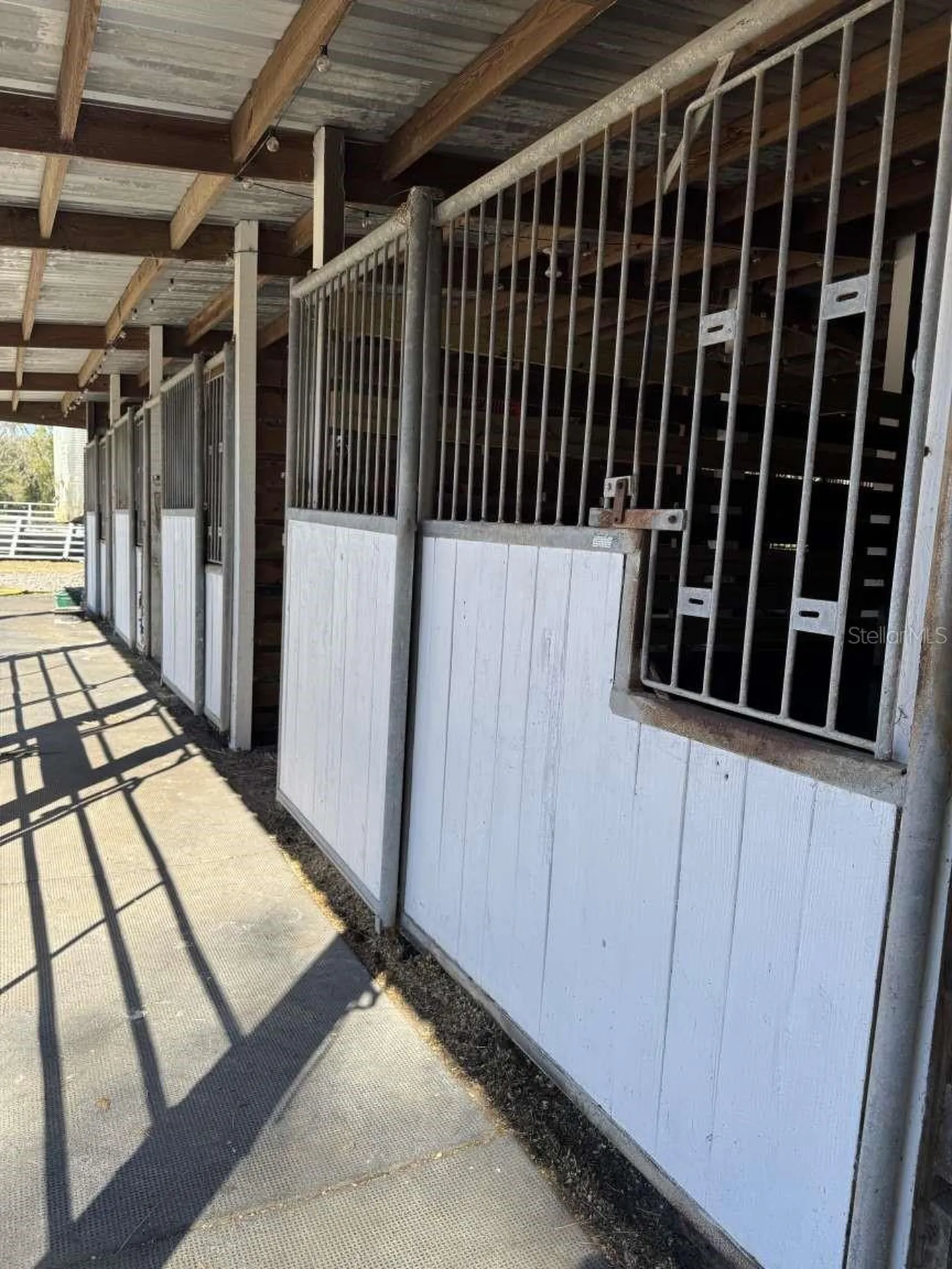4260 NW 96th Lane Ocala FL 34482