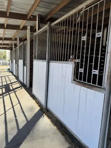 4260 NW 96th Lane Ocala FL 34482
