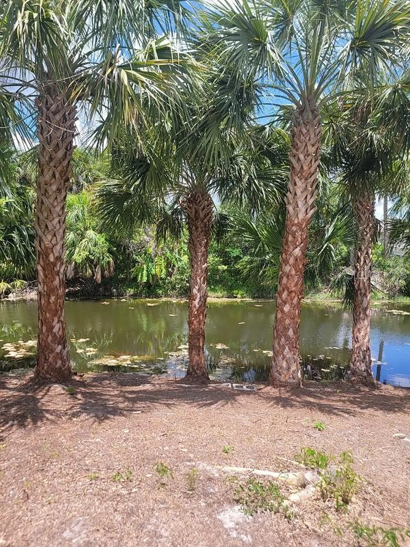 474 Hinton Street Port Charlotte FL 33954