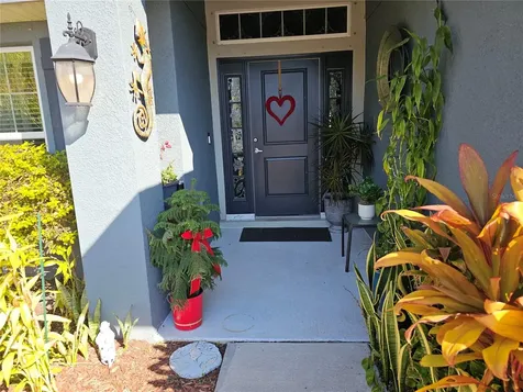 14438 Scottburgh Glen Drive Wimauma FL 33598