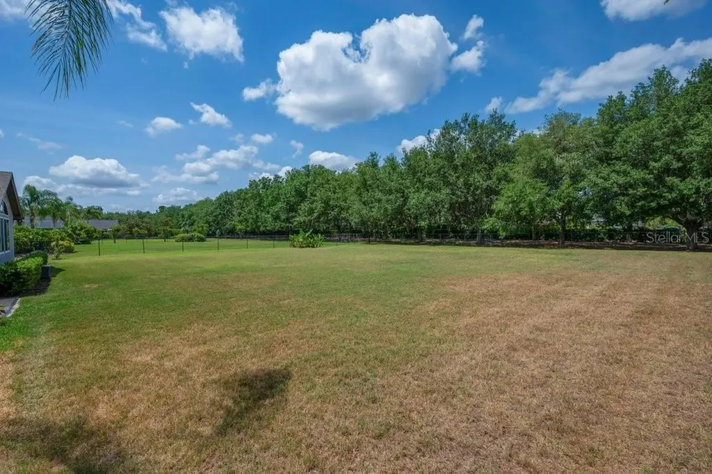 5507 Keeler Oak Street Lithia FL 33547